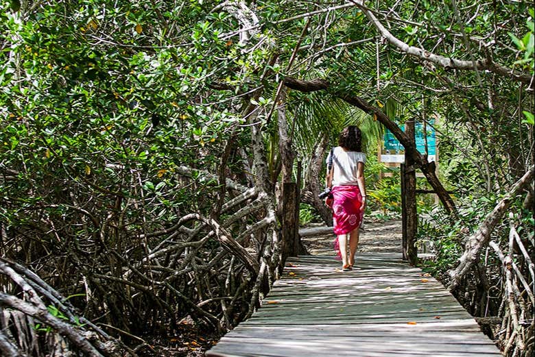 Explorando la naturaleza de Yalahau