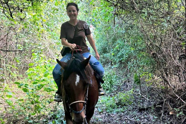 Go through immersive mangroves