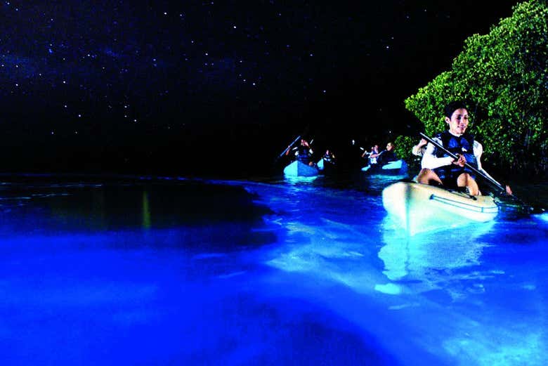 Remando bajo las estrellas