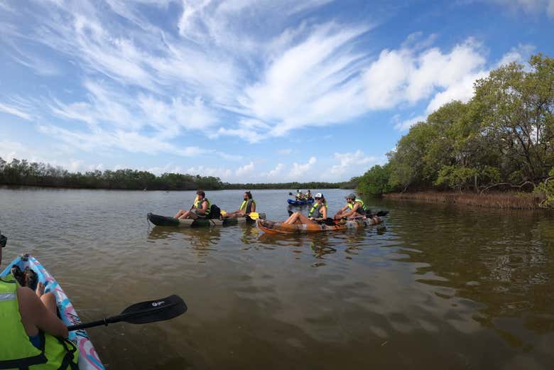 Profitez de la nature d'Holbox