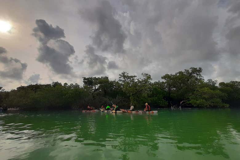Pagayez près de l'île d'Holbox