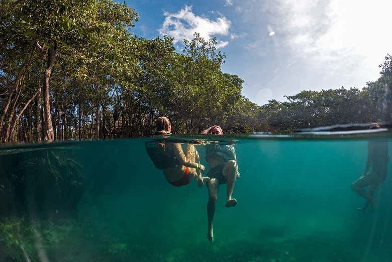 Take a dip in the Yalahau Cenote