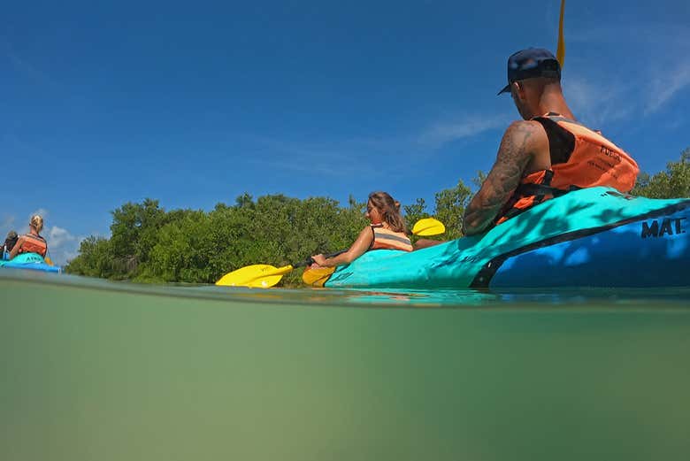Enjoy a kayak tour through mangroves