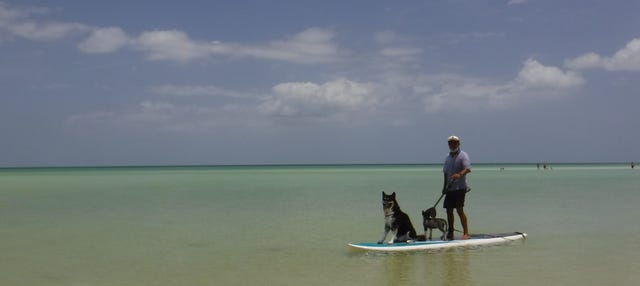 Paddleboard Tour in Holbox