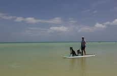 Paddle surf en Holbox