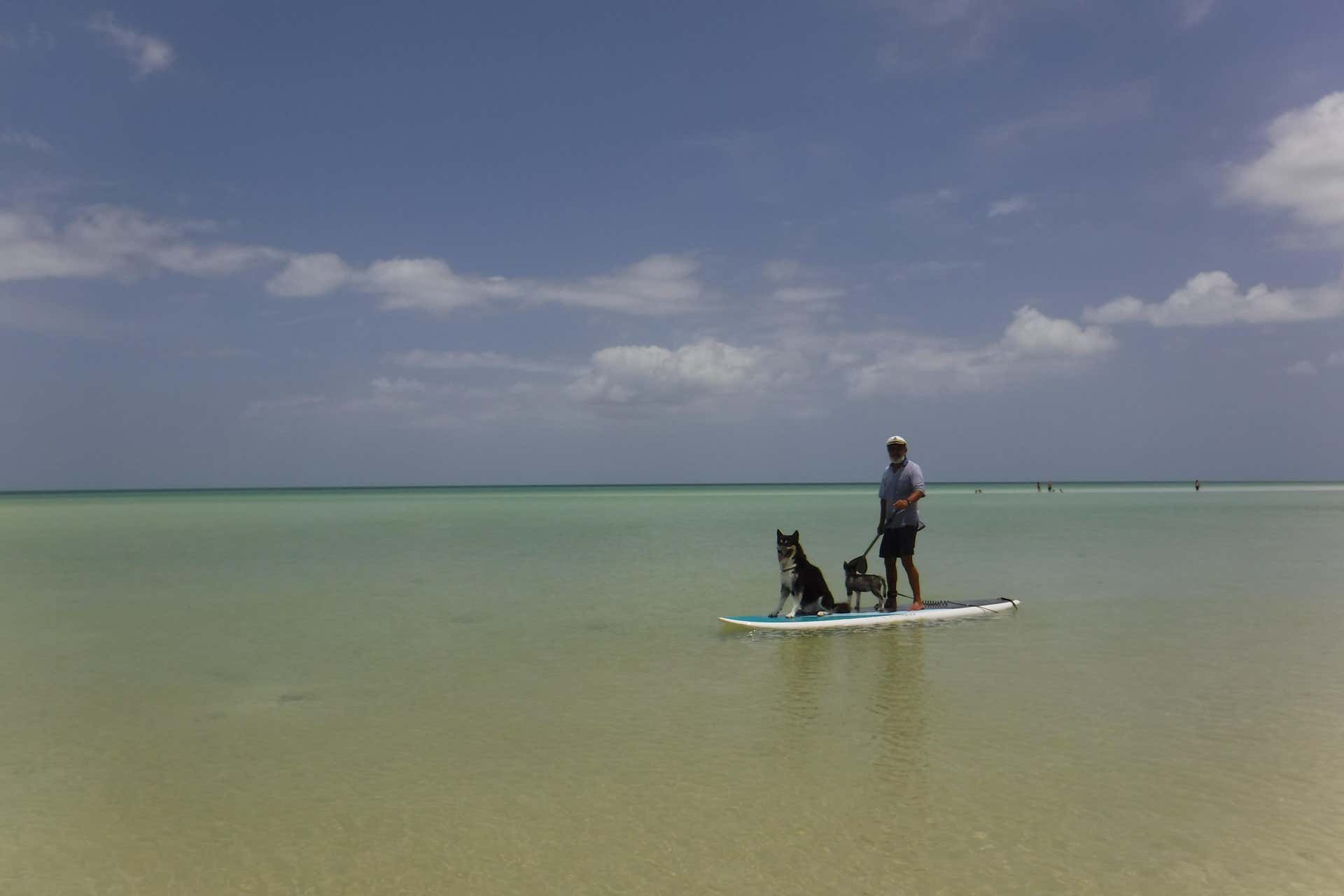 Paddle à Holbox