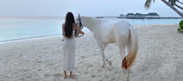 Passeio a cavalo por Holbox