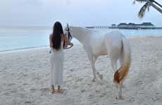Paseo a caballo por Holbox