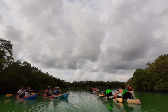 Tour en kayak por Holbox