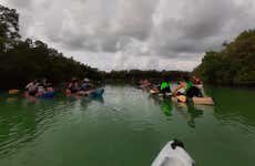 Balade en kayak à Holbox