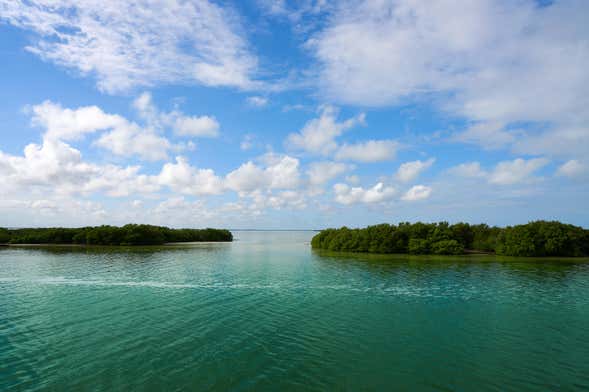 Tour en lancha por la laguna Yalahau y su cenote