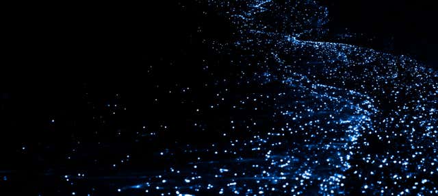 Tour del plancton luminiscente en kayak