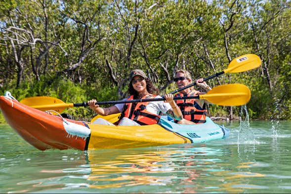 Tour privado por Holbox
