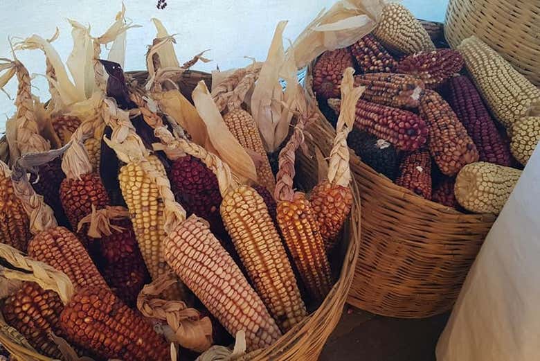 Découvrez l'origine des tortillas de maïs
