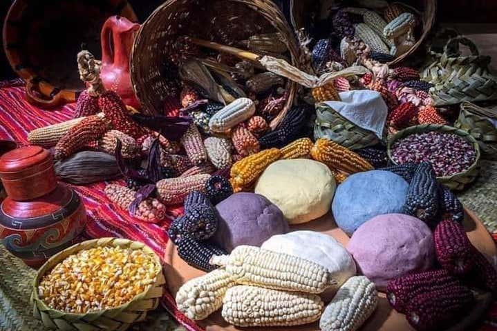 Atelier de préparation de tortillas de maïs