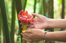Excursión al Parque Agroecoturístico Hagia Sofia