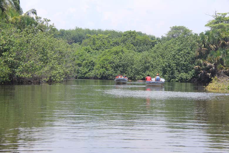 Navegando por la laguna de Ventanilla