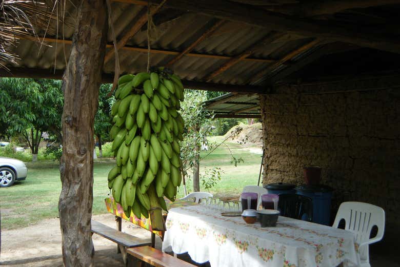 Disfrutando de la gastronomía mexicana
