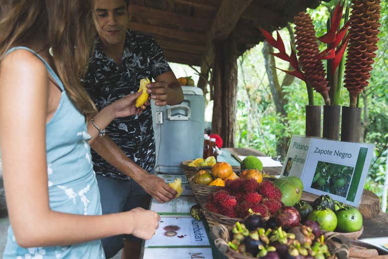 Tropical fruit tasting