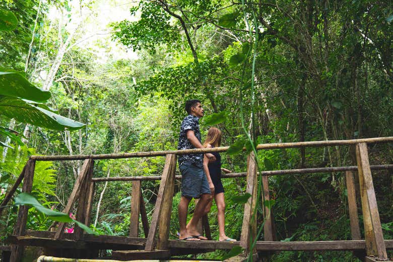 Exploring the jungle