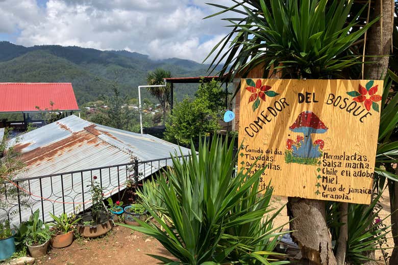 Cartel de madera artesanal rodeado de plantas