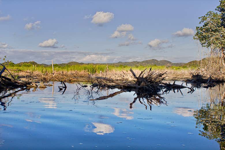 Disfrutando de la travesía