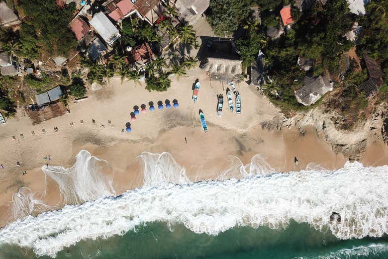 Visit Mazunte