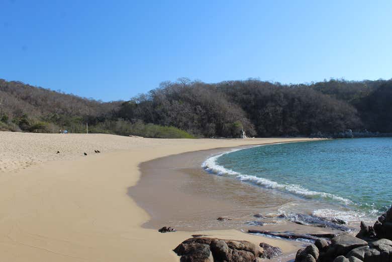 Spiaggia di El Órgano