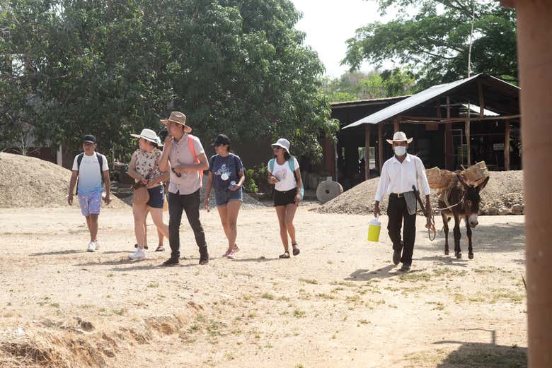 Visitando un palenque de mezcal