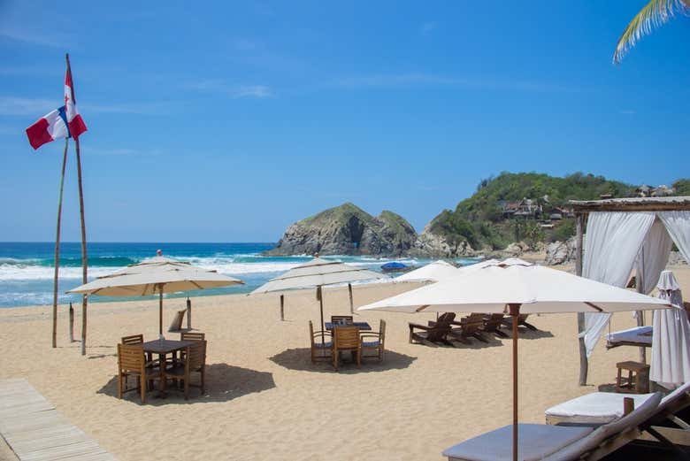 Podréis relajaros en estas tumbonas