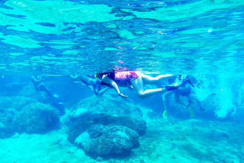 Snorkeling