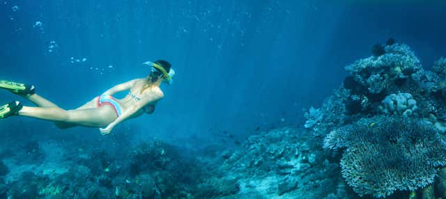 Snorkel nas baías de Huatulco