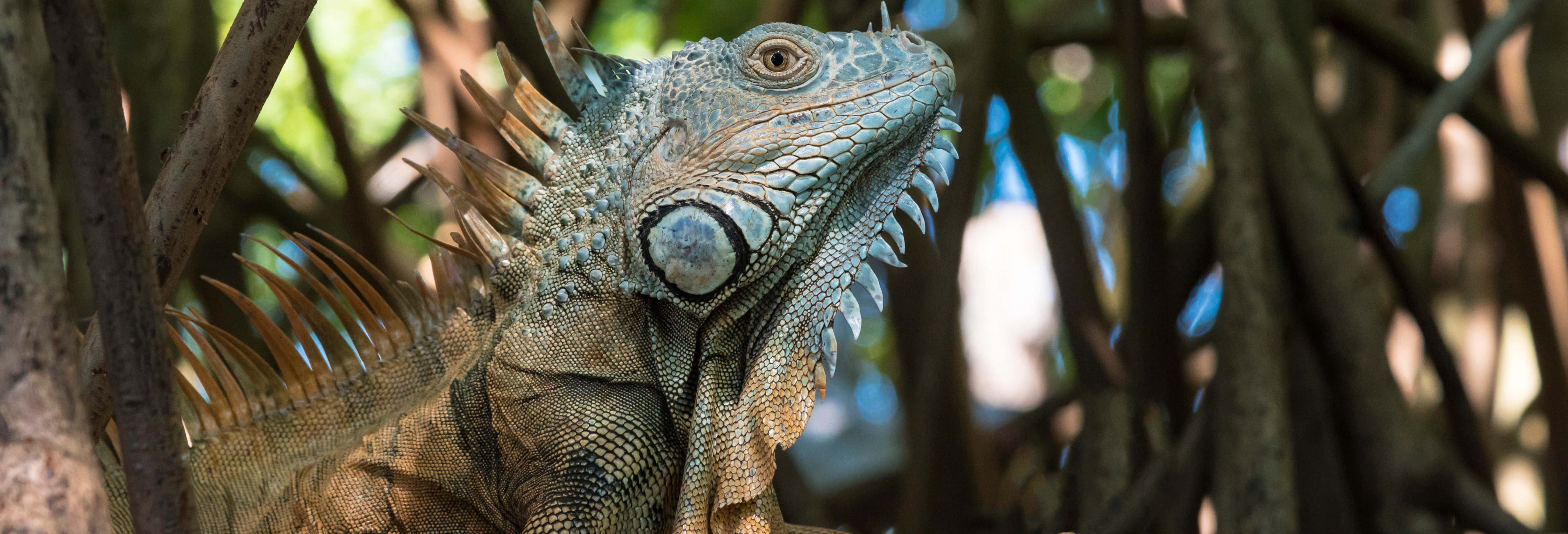 Day trips in Huatulco