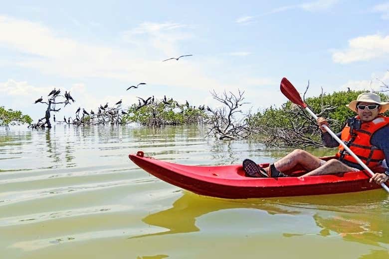 Kayak à Isla Aguada