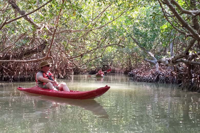 Profitez d'une balade en kayak à Isla Aguada