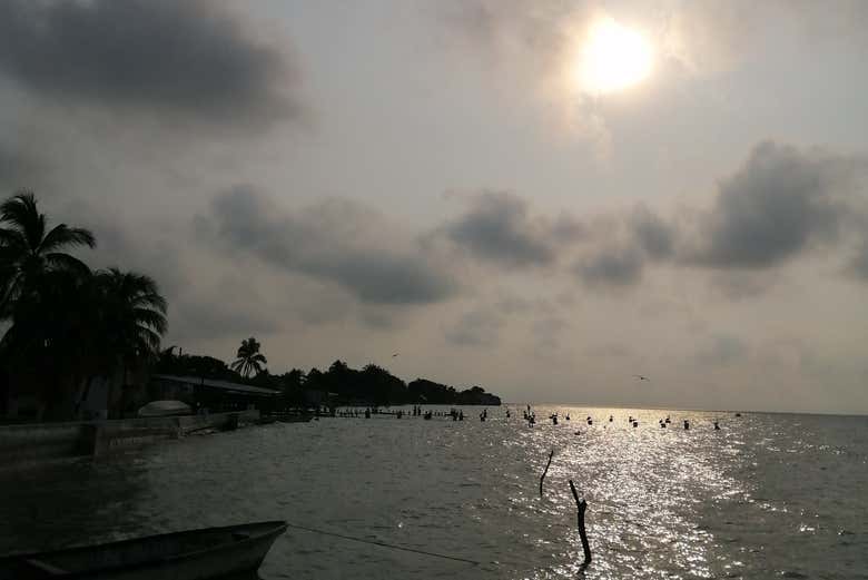 Naviguez sur la lagune de Términos