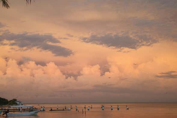 Términos Lagoon Boat Ride