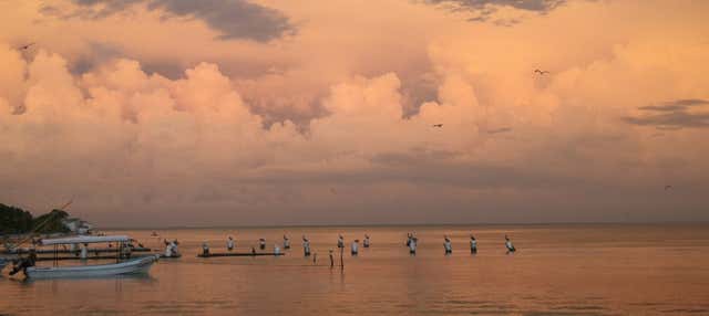 Paseo en lancha por la laguna de Términos