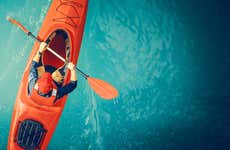 Tour en kayak por la laguna de Términos