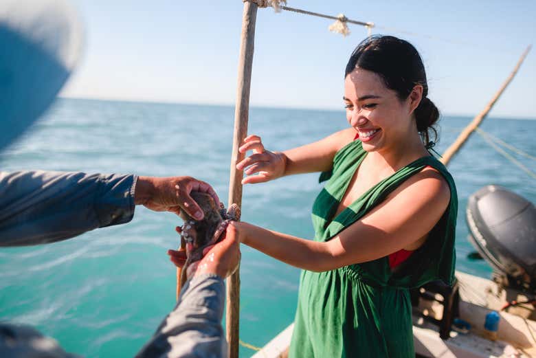 Découverte de la faune marine de la région