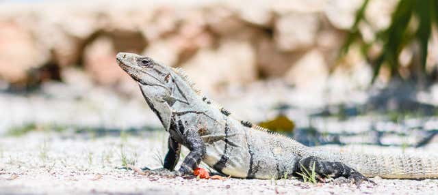 Excursion de 2 jours au centre Wotoch Aayin