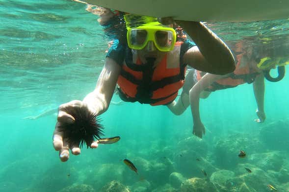 Snorkel en la playa Las Gatas