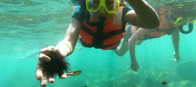 Snorkeling à la plage de Las Gatas