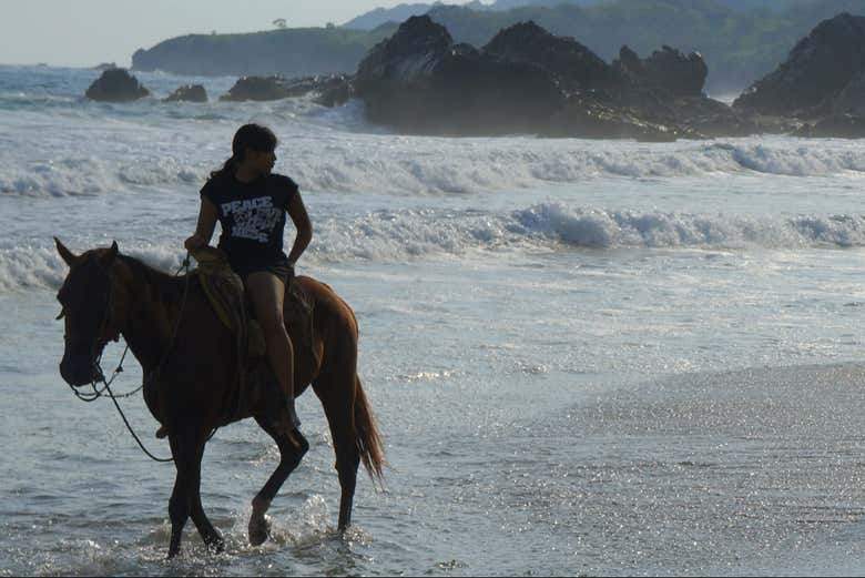 Desfrutando da rota equestre