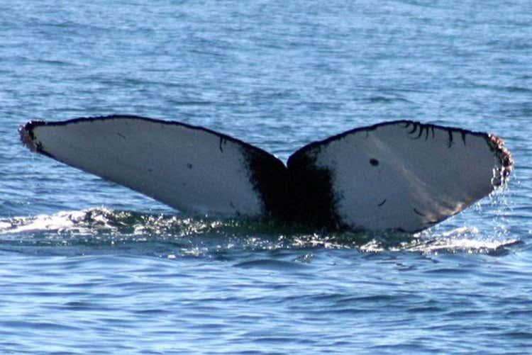 Vistas da embarcação