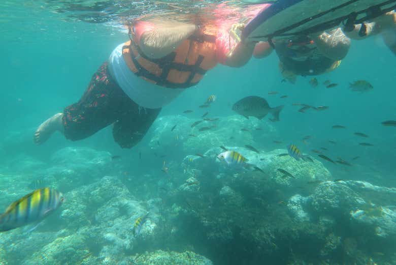 Disfrutando de una aventura de snorkel en el Pacífico