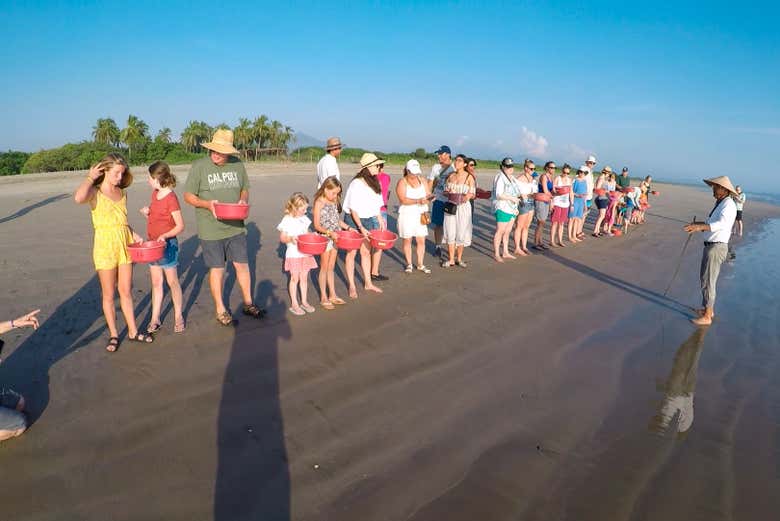 Turtle release about to take place