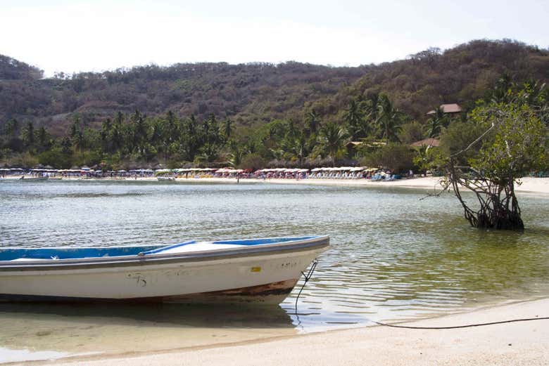 Praia Las Gatas, um oásis de Zihuatanejo