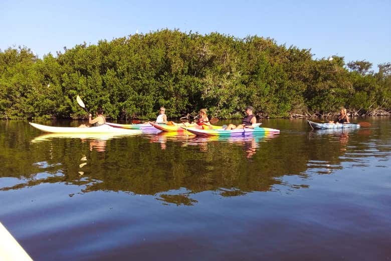 Row, row, row your boat