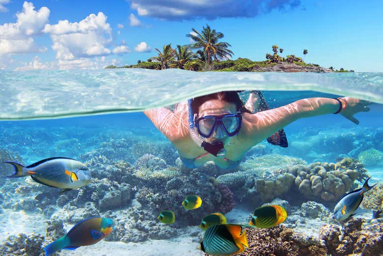 En la playa Coral podréis practicar Snorkel